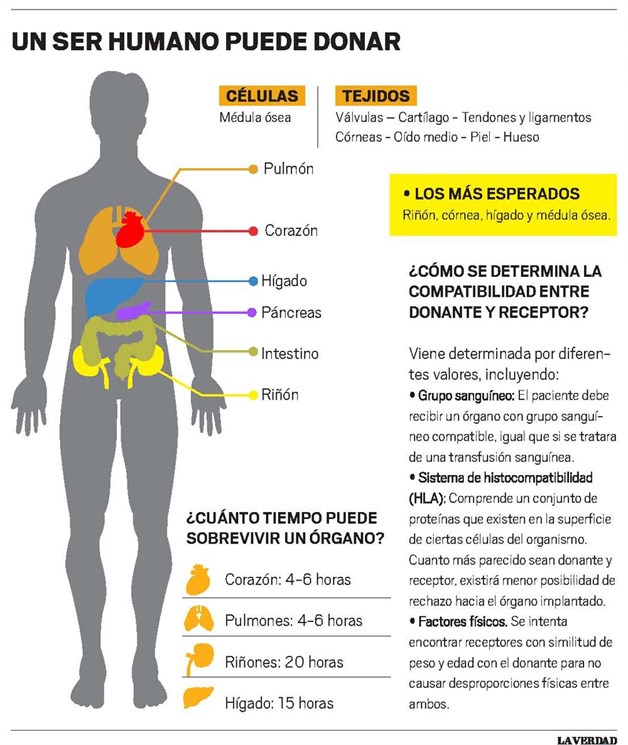 imagenprueba