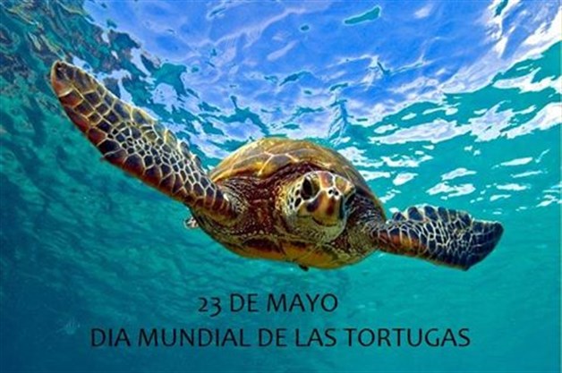 imagenprueba
